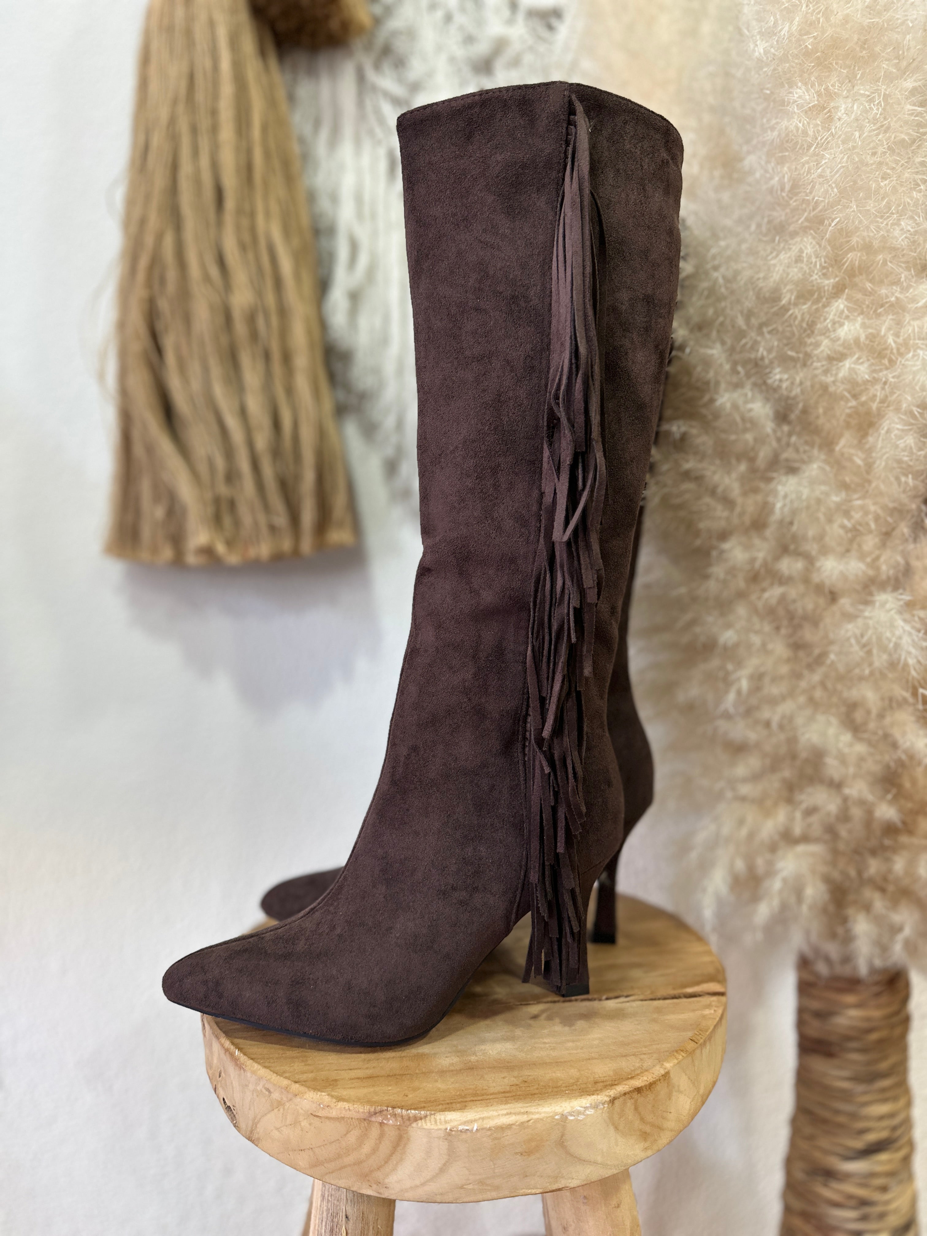 Botas /salto fino e franjas COLORADO